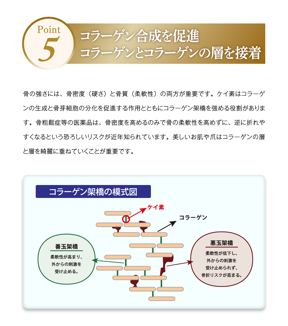 ライシアが選ばれるポイント5